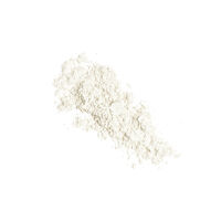 Airbrush Blur Loose Setting Powder Image - 31