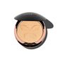 Radiance Highlighting Powder Compact - Gilded image number null