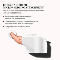 Breeze2 Airbrush Microneedling Roller Stylus Head Image - 21