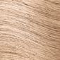 Breeze Airbrush Haircare Root & Hair Cover-Up Kit - BlondeBlonde image number null