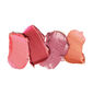 Alluring Eye and Lip Compact Rose image number null