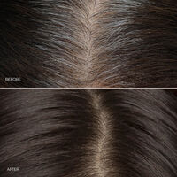 Brow, Root & Highlights Kit Image - 51