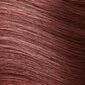 Breeze Airbrush Haircare Root & Hair Cover-Up Kit - AuburnAuburn image number null