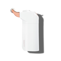Breeze2 Airbrush Microneedling Device Image - 01