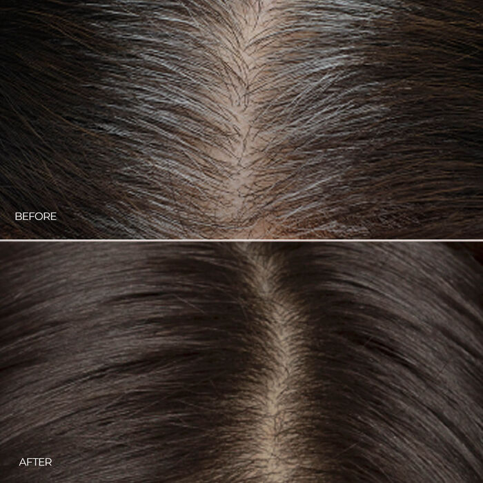 Airbrush Root, Hair & Brow Color Professional Kit