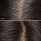 Airbrush Root, Hair & Brow Color Professional Kit image number null