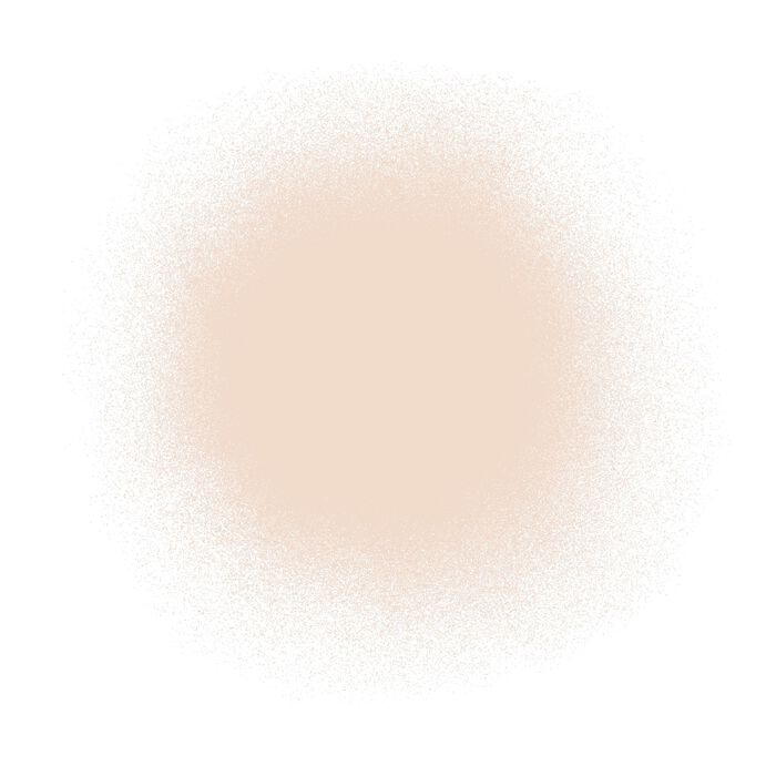 Airbrush Spray Silk Foundation 2 oz - Light Fair 010Light Fair 010