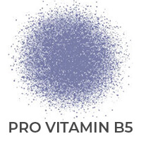 Pro Vitamin B5