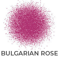 Bulgarian Rose